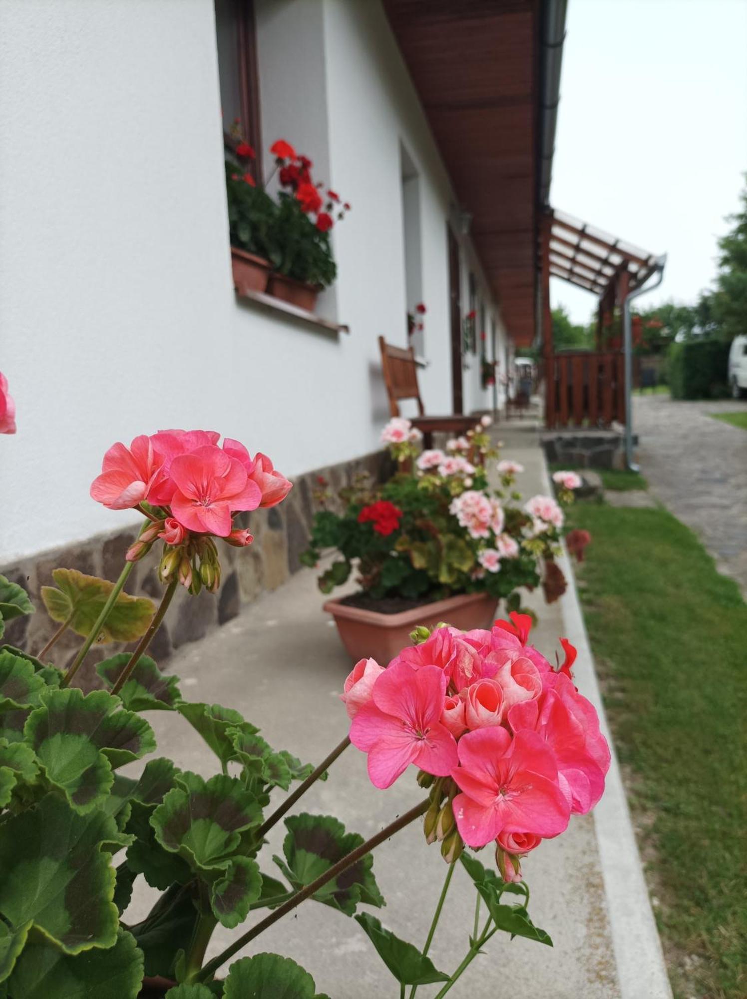 Kemencés Vendégház Mikohaza Extérieur photo
